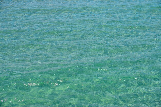 Belle plage avec des palmiers et une texture de mer de ciel maussade ou un fond d'été de modèle