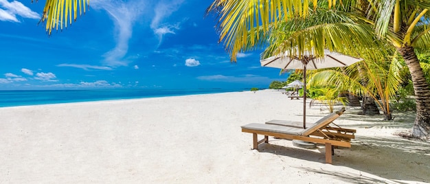 Belle plage panoramique. Chaises sur la plage de sable près de la mer avec des feuilles de palmier. Rivage tranquille