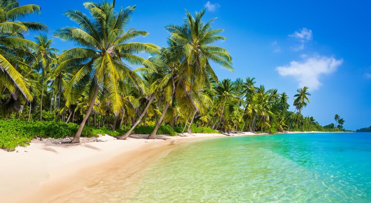 Photo belle plage paradisiaque avec des palmiers en haute définition
