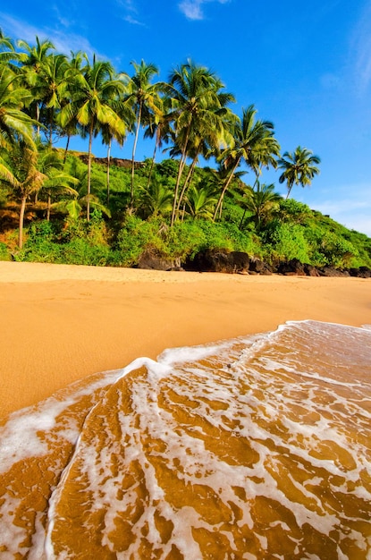 Belle plage de paysage à Goa en Inde