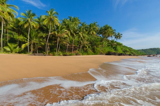 Belle plage de paysage à Goa en Inde