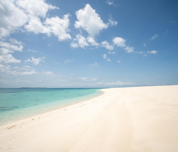 Belle plage de sable blanc tropicale et mer