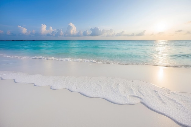 Une belle plage de sable blanc