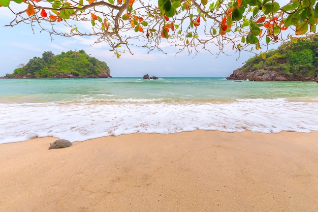 belle plage de sable blanc