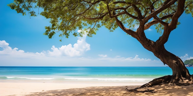 Une belle plage de sable avec un ciel bleu par une journée d'été
