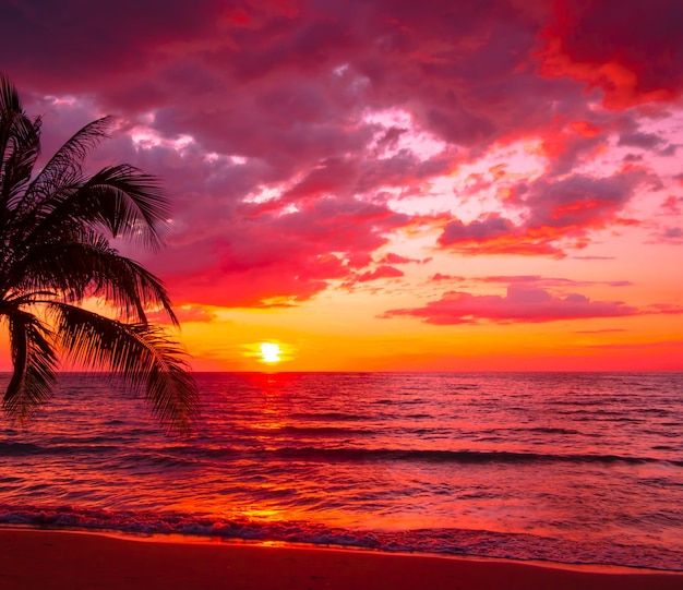 Photo belle plage tropicale au coucher du soleil avec des palmiers et un ciel rose pour les voyages et les vacances pendant les vacances de relaxation