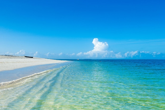 Belle plage tropicale de ciel et de mer bleue