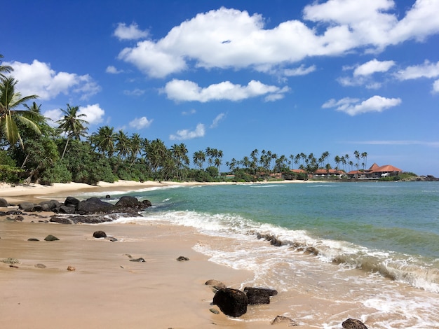 Belle plage tropicale avec de grandes vagues. Sri Lanka