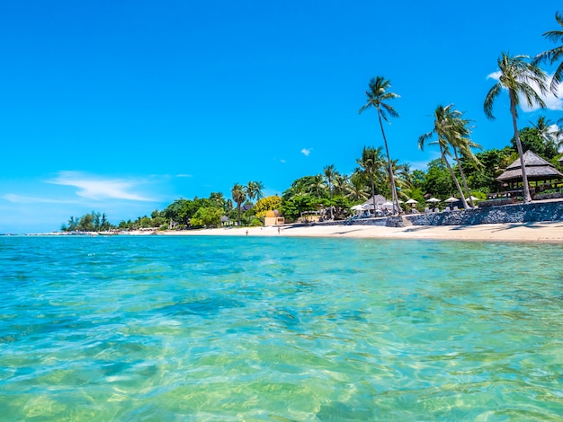 Belle plage tropicale et mer avec cocotier