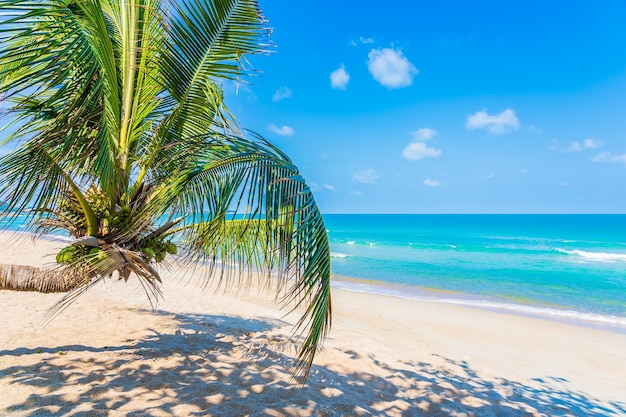 Belle plage tropicale mer océan avec cocotier autour de ciel bleu nuage blanc pour fond de voyage de vacances