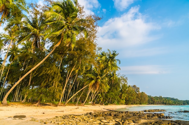 Belle plage tropicale et mer