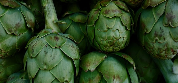 belle plante verte naturelle