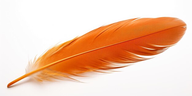 Une belle plume d'oiseau orange isolée sur un générateur AI blanc