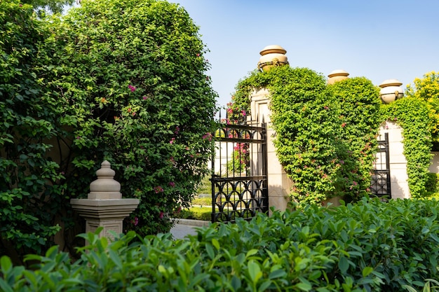 et une belle porte entourée d'arbres et de plantes en Inde