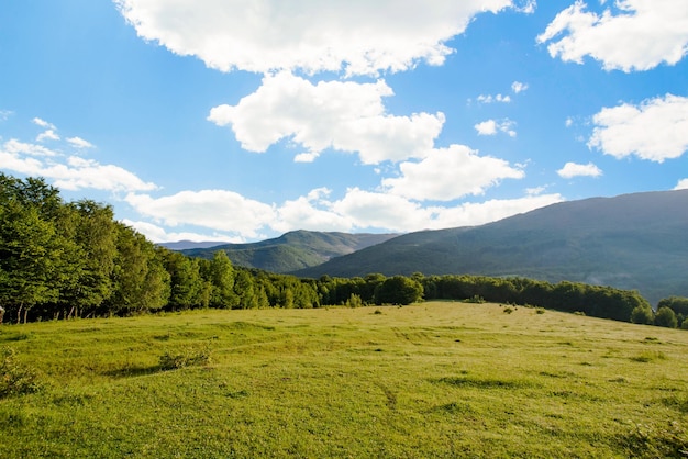 Belle prairie couverte d'herbe sur fond d'été vert et de hautes montagnes avec ciel bleu et nuages Paysage de montagne Air frais Écologie