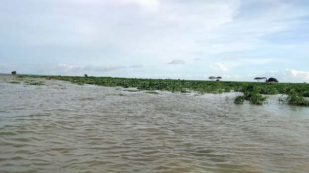 Belle promenade en bateau le long de la rivière