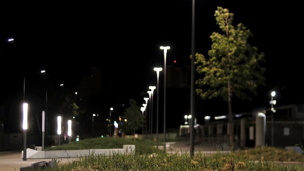 Belle Promenade Dans Le Parc De La Ville Avec Des Lampes Et Une Pelouse  Verte La Nuit.