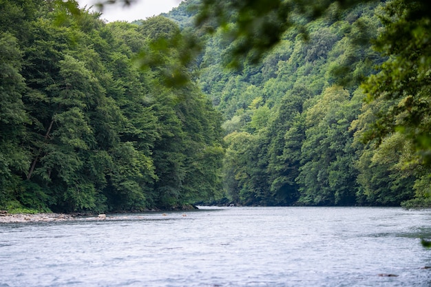 Une belle rivière coule entre les rochers