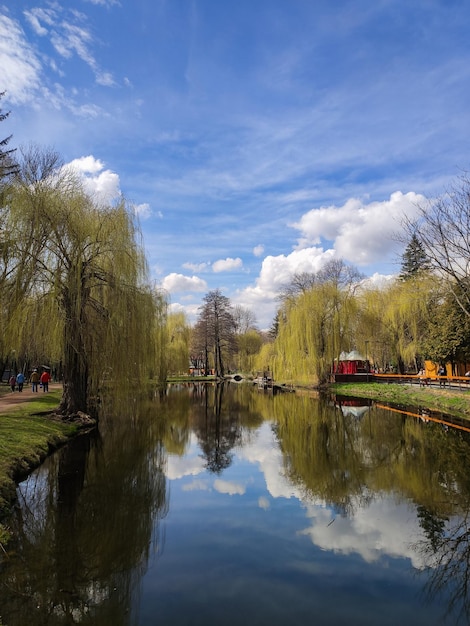 Une belle rivière dans le parc avec reflet du ciel et arbres au printemps