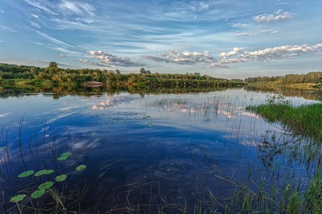 Belle rivière envahie de roseaux et de nénuphars