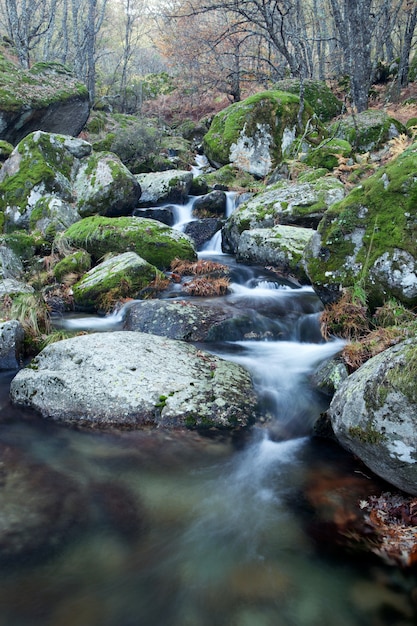 Belle rivière et gros rochers avec de la mousse