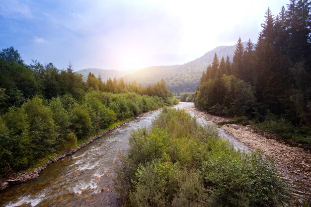 Belle rivière de montagne