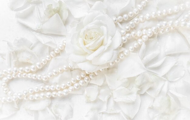 Belle rose blanche et collier de perles sur fond de pétales Idéal pour carte de voeux