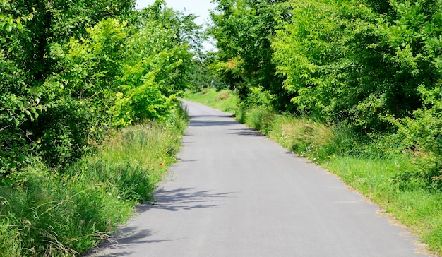 Belle route d'asphalte vide dans la campagne sur un fond coloré Photographie consistant en une nouvelle route d' asphalte vide passant à travers la campagne Route d' Asphalte vide pour voiture de vitesse dans la campagne de feuillage