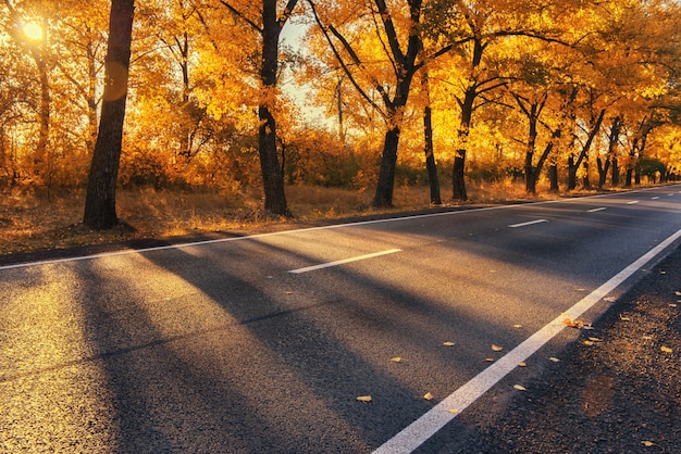 Belle route d'automne