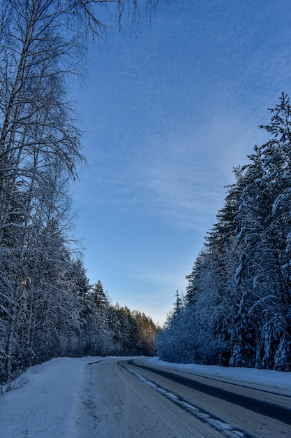 Belle route dans la forêt d'hiver