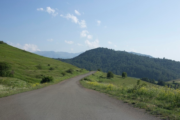 Une belle route dans la forêt