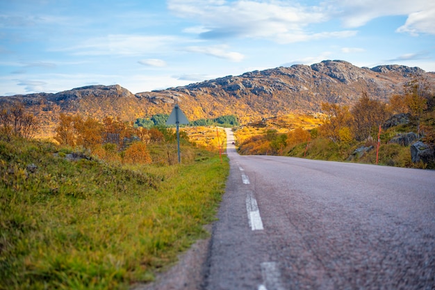 Belle route dans l'île des Lofoten avec montagne