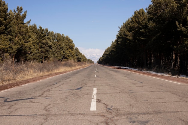 la belle route près de la forêt