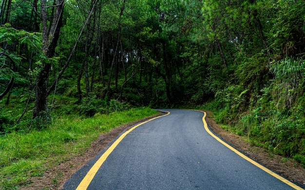 Belle route de verdure vide pendant la saison de la mousson à Katmandou Népal