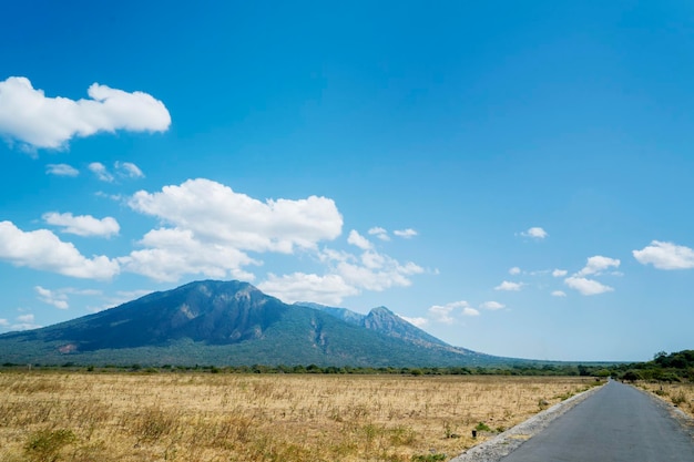 Photo la belle savane de bekol avec le mont baluran