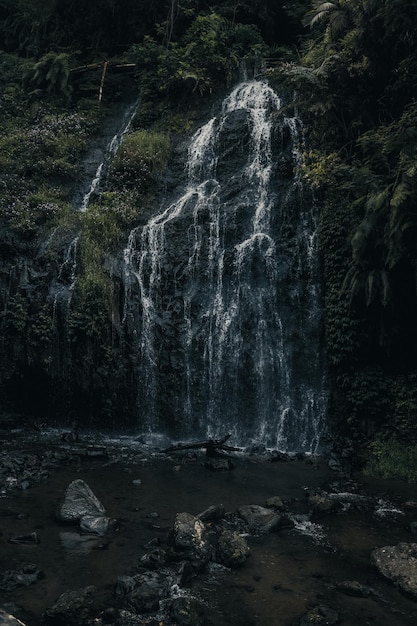 Belle scène de cascade avec des rochers et du feuillage dans la rivière à West Java Indonésie