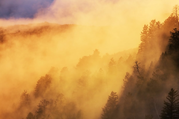 Belle scène matinale dans les montagnes. Brouillard au lever du soleil.