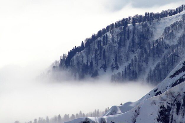 Belle scène de montagnes d'hiver par temps brumeux