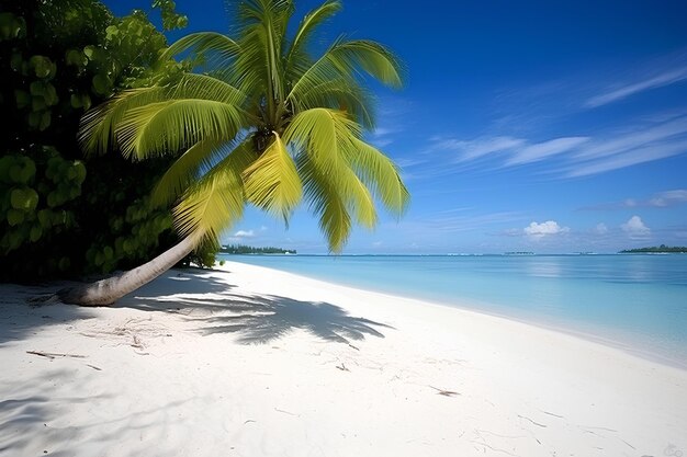 Une belle scène de plage