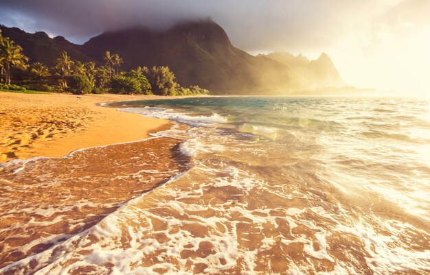 Photo belle scène à tunnels beach sur l'île de kauai, hawaii, usa