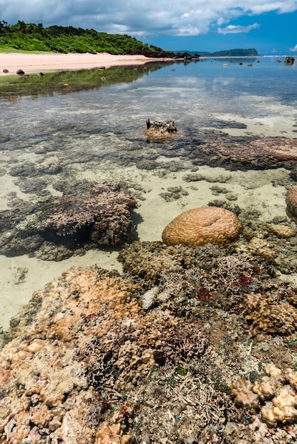 Belle scène vue du récif de corail apparaissant à marée basse. Plage paradisiaque sur fond.