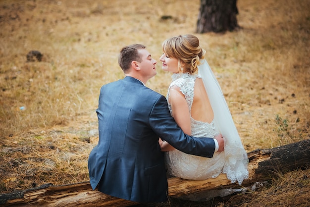 Belle séance de photos de mariage sur la nature