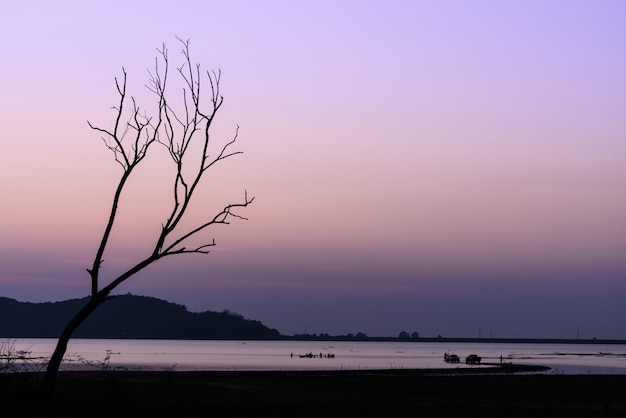 Belle silhouette arbre sec et lac dans le ciel crépusculaire