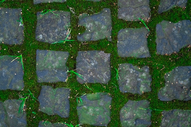 Belle texture de pavés herbeux. fond de route de pierre