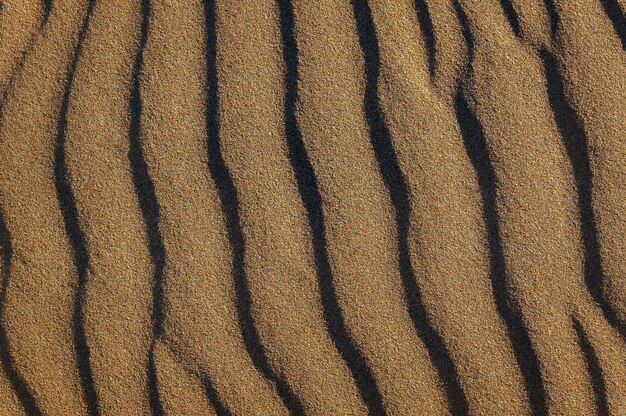 Belle toile de fond de dunes de sable formées par le vent sur la plage avec de l'espace pour le texte