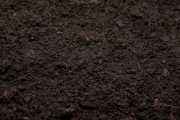 Photo belle toile de fond de terre fertile en gros plan l'arrière-plan est entièrement fait de terre noire avec