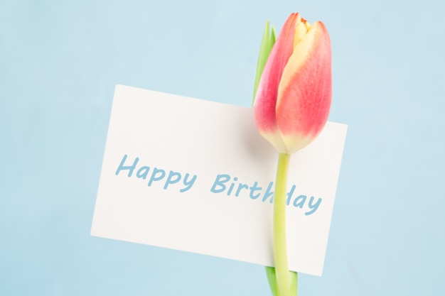 Une belle tulipe avec une carte de joyeux anniversaire