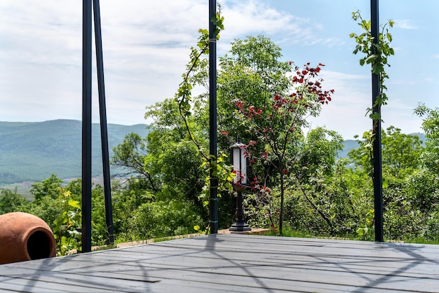 Photo une belle véranda avec une vigne grimpante et une vue sur la montagne par une belle journée ensoleillée de printemps