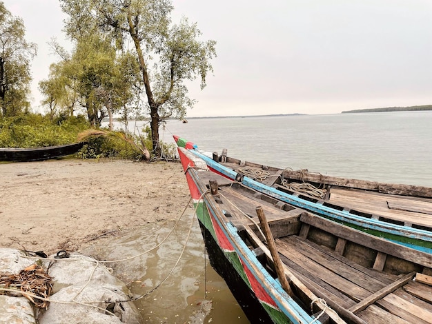 Photo belle vie quotidienne de village à côté d'une rivière de mangrove