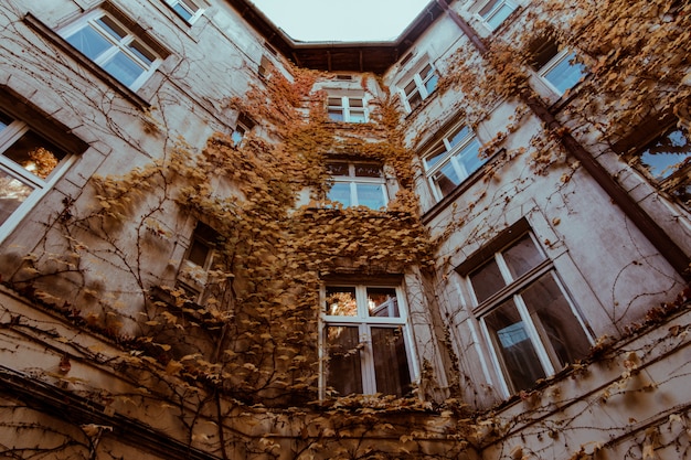 Belle vieille maison dans les feuilles d'automne